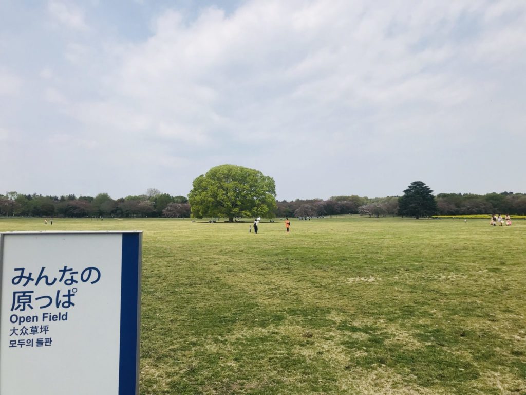 昭和記念公園ランニングコース