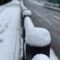多摩湖自転車道に雪が降った