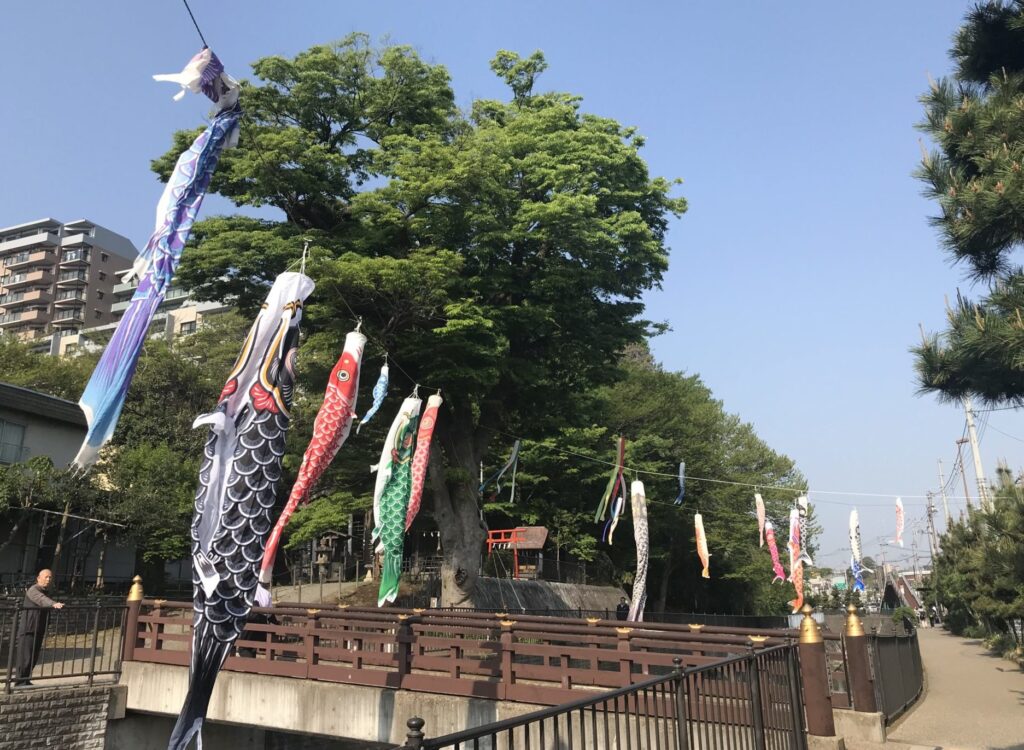 横浜駅から小田原城までランニング