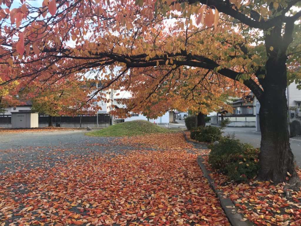 天童ラ・フランスマラソン、秋の天童は美しい