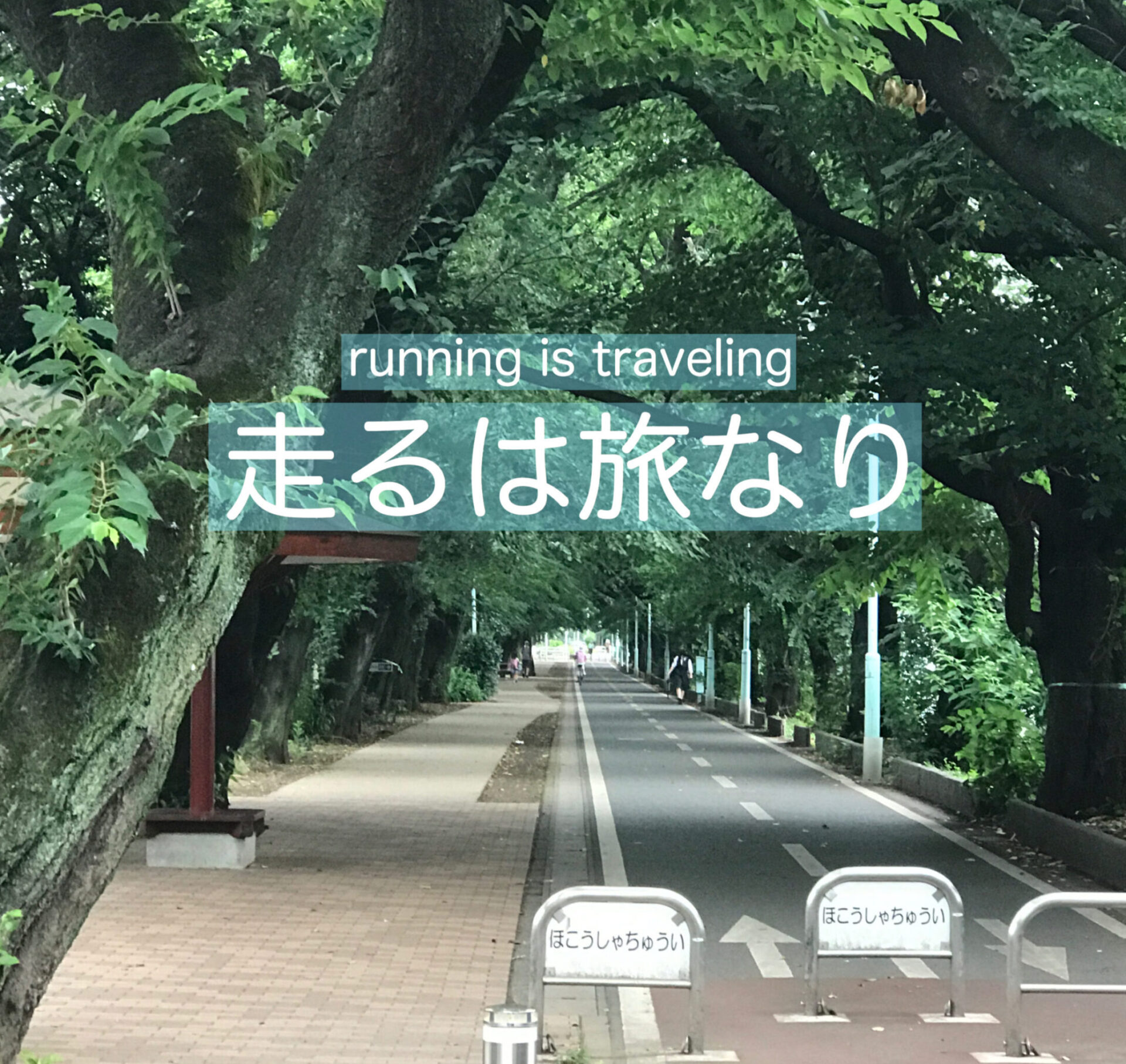 ブログタイトル(トップ画像)