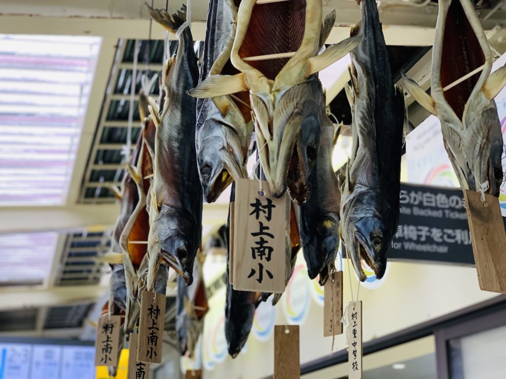 村上市元旦マラソン、村上市と言えば鮭