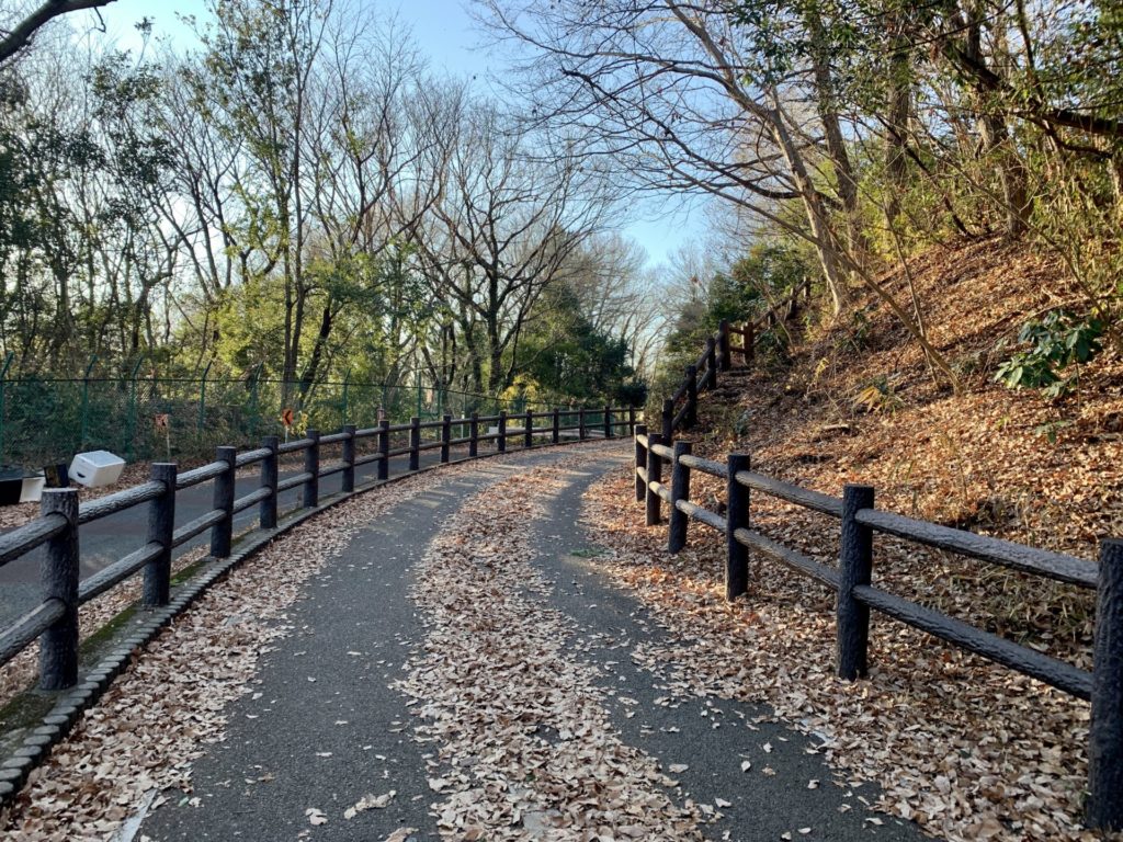 多摩湖自転車道、落ち葉で距離標が見えない