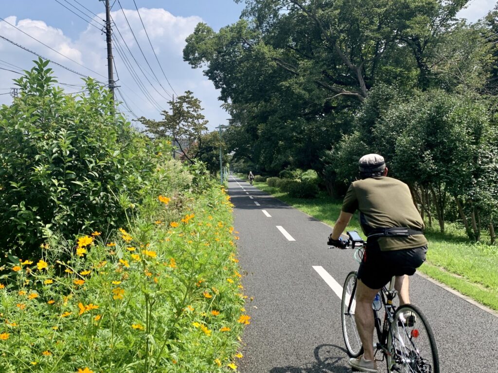 真夏の多摩湖自転車道