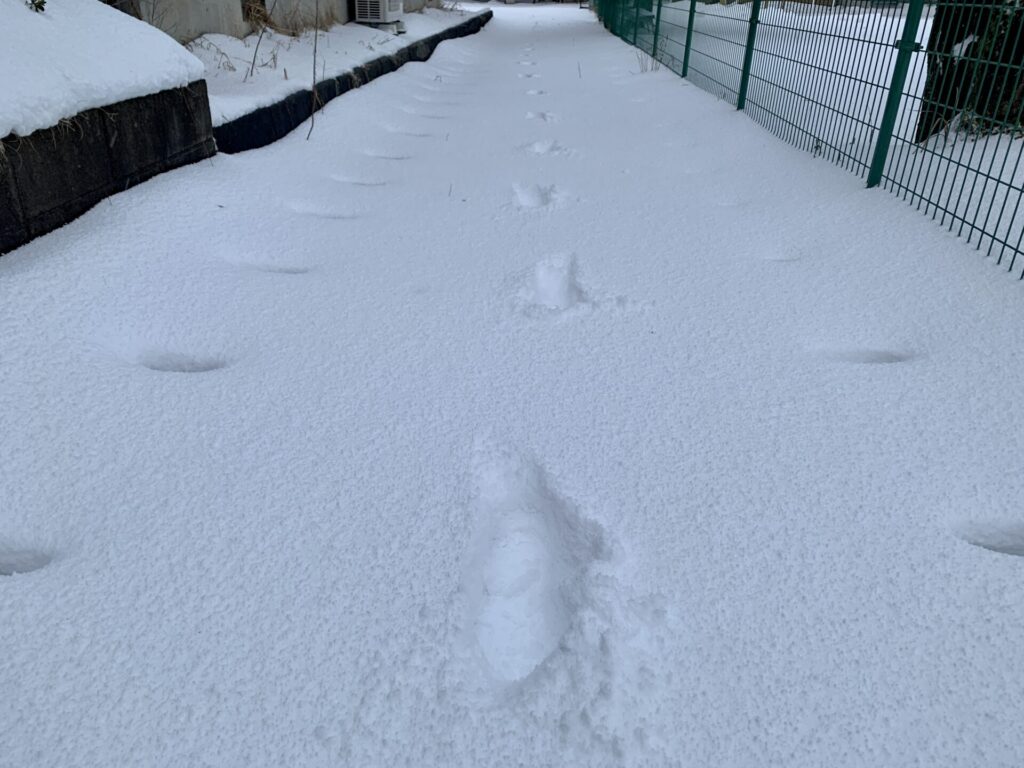 冬の一歩
