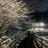 雪の多摩湖自転車道