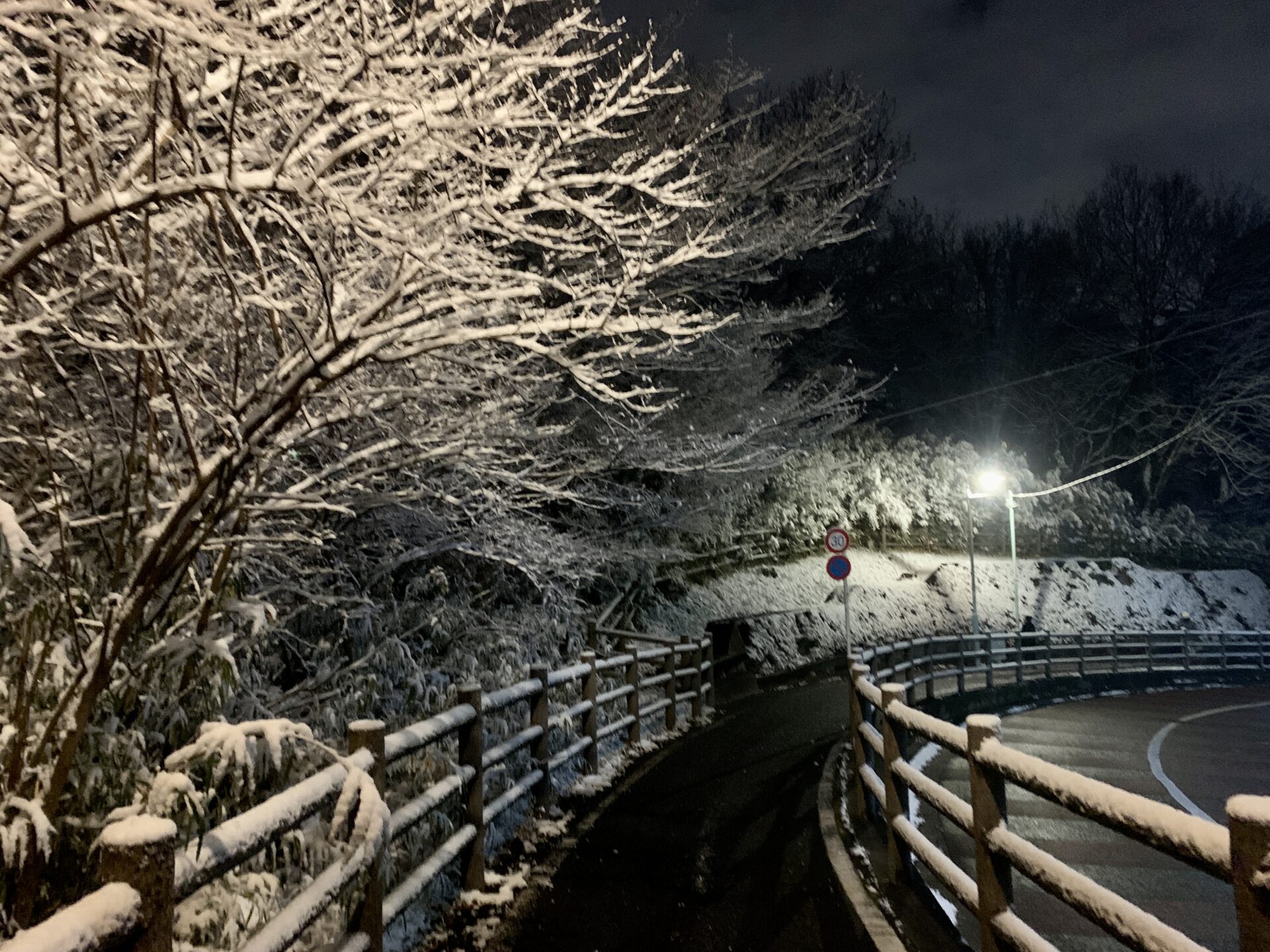 雪の多摩湖自転車道