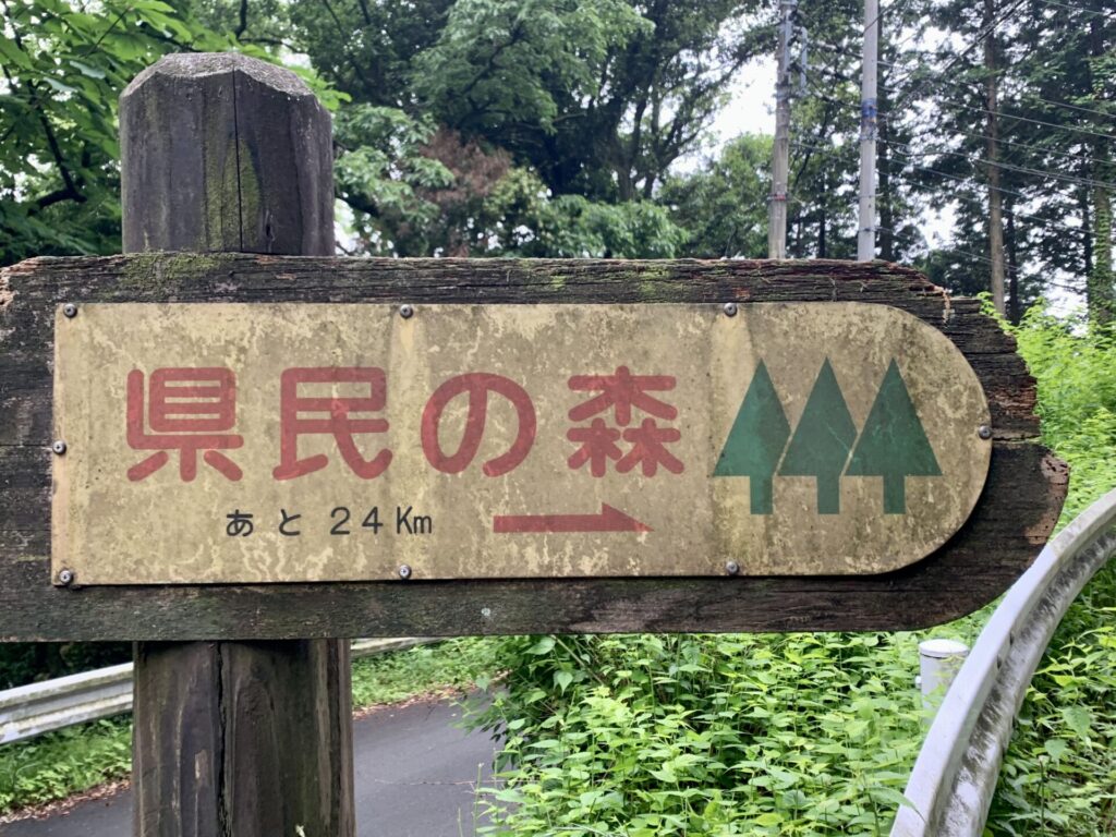 奥武蔵グリーンラインでは県民の森を目指す感じでランニング