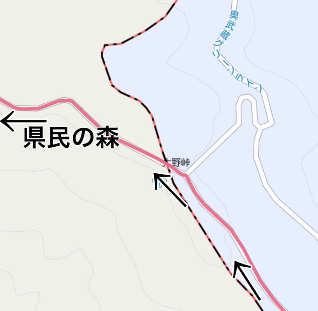 奥武蔵グリーンライン（大野峠）から県民の森方面へランニング