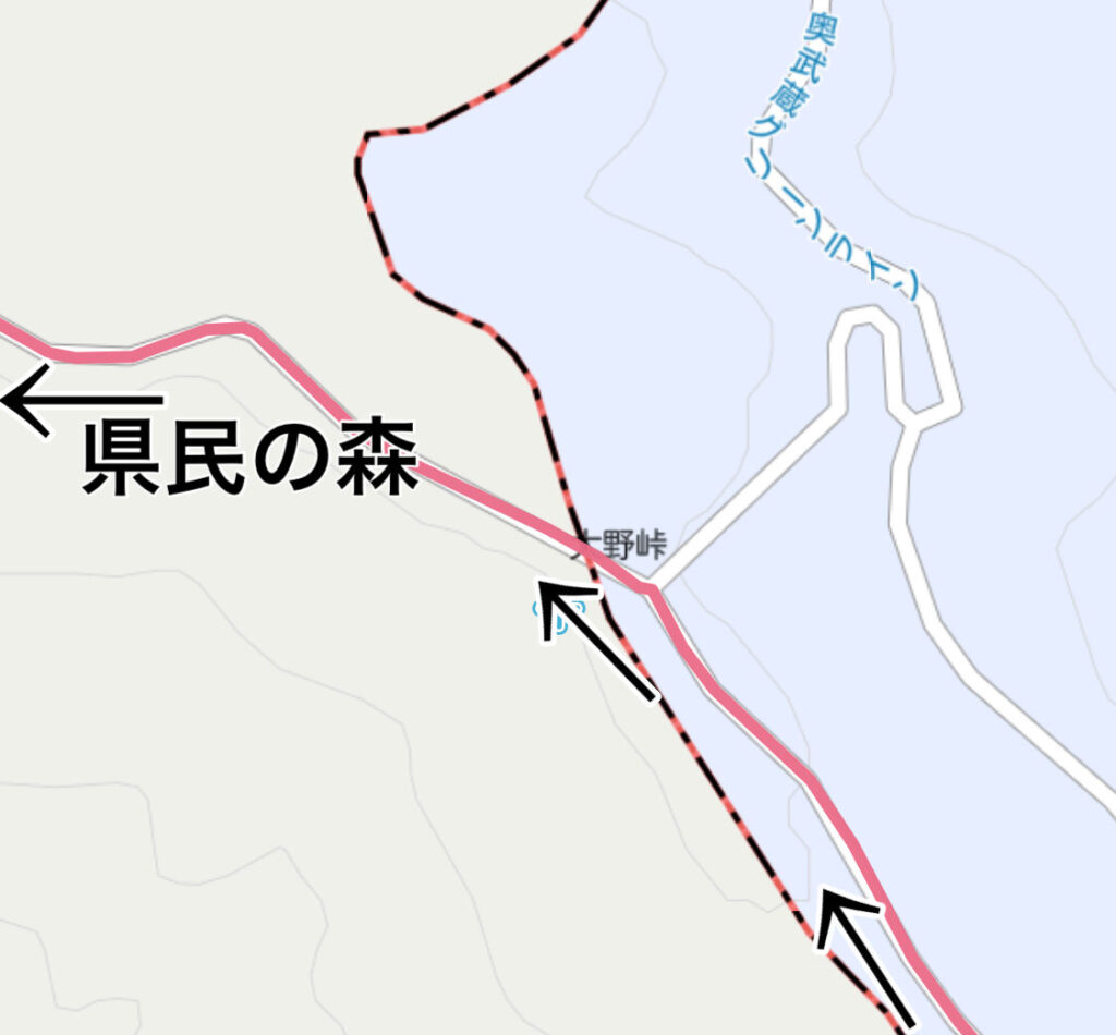 奥武蔵グリーンライン（大野峠）から県民の森方面へランニング
