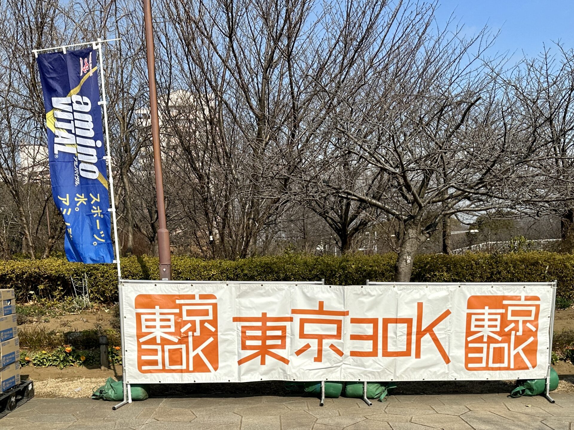 フルマラソンの調整にて東京30K冬に参加