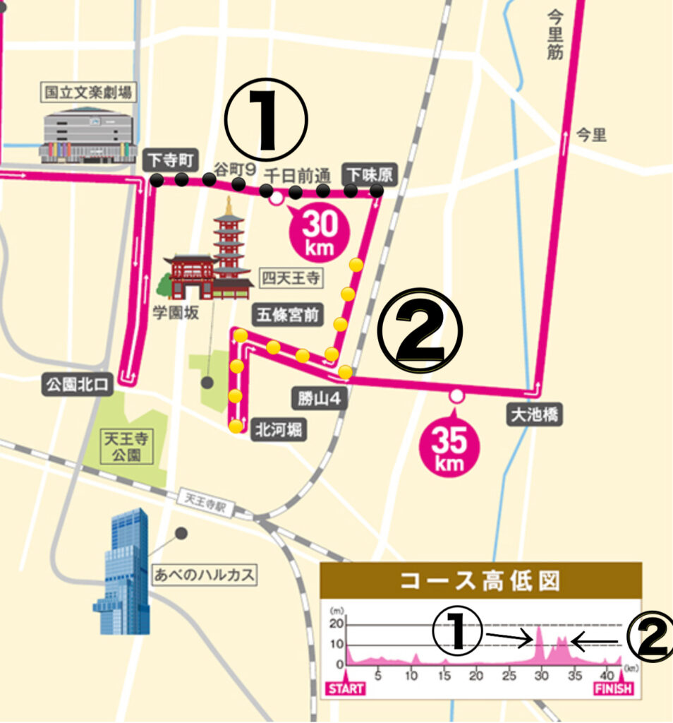 大阪マラソンのアップダウン