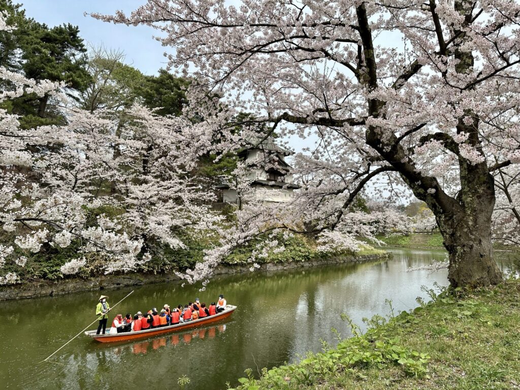 あおもり桜マラソンの観光で弘前城を訪れる