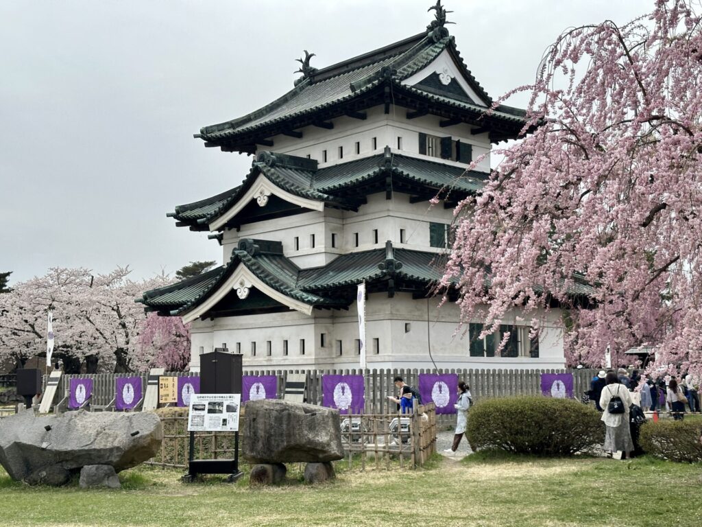 あおもり桜マラソンの観光で弘前城を訪れる