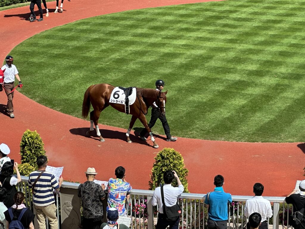ランニングで競馬場へ