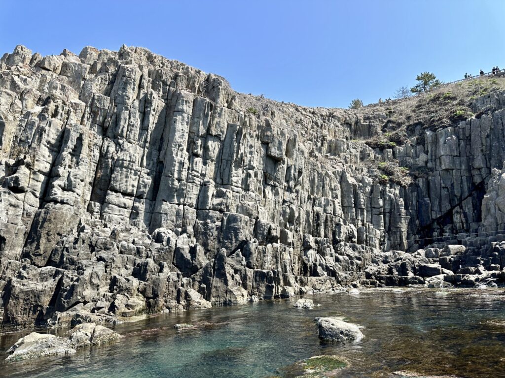 ふくい桜マラソンに来たら東尋坊観光