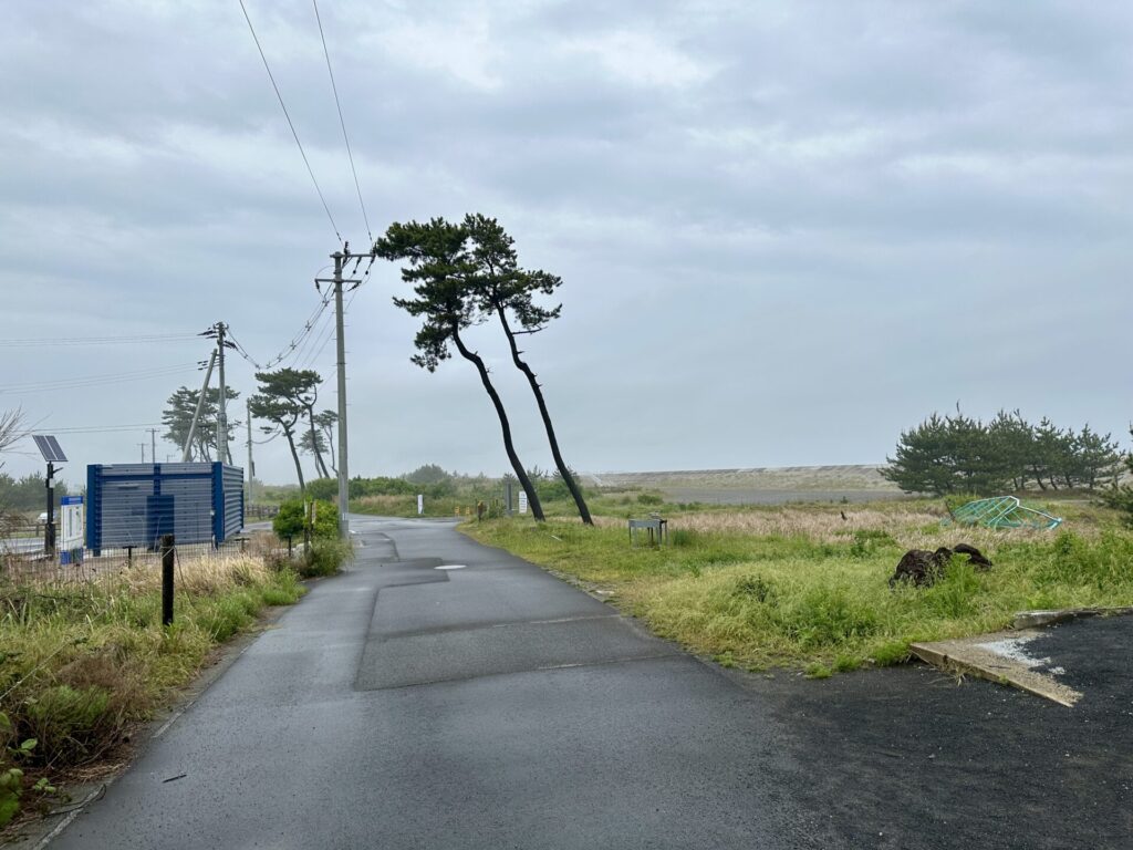 仙台国際ハーフ翌日に荒浜地区を訪問