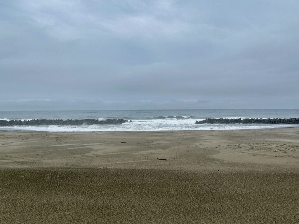 仙台国際ハーフ翌日に荒浜地区を訪問