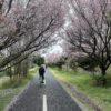 ランニング中は遅い自転車を追い抜きにくい