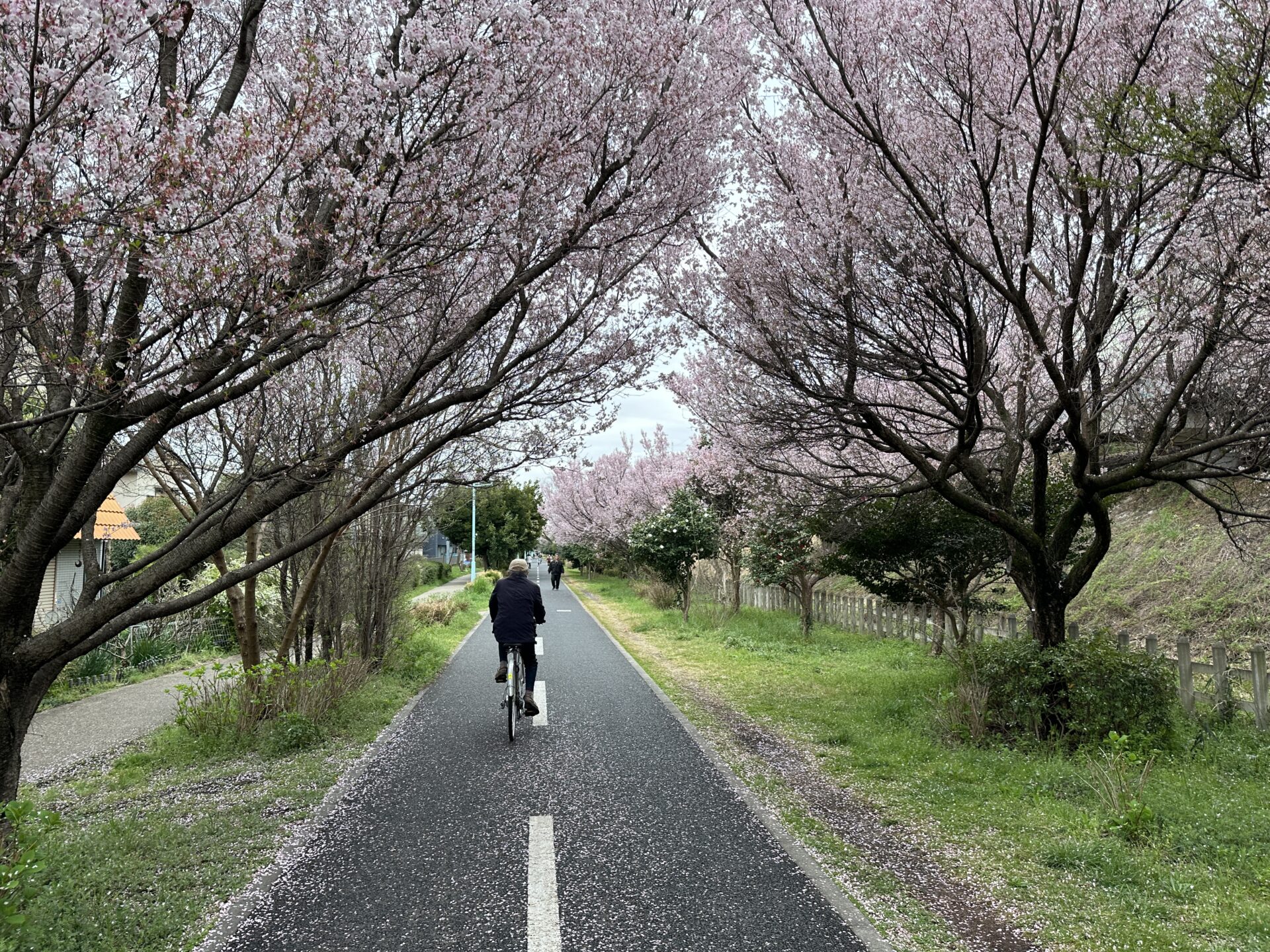ランニング中は遅い自転車を追い抜きにくい
