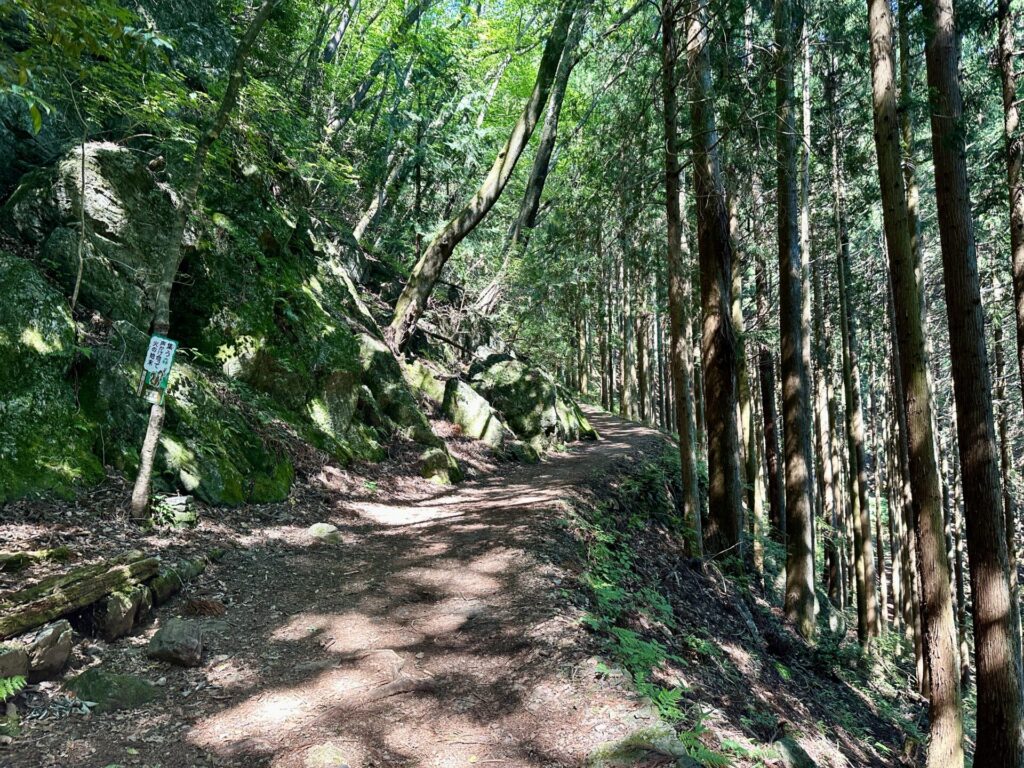 日の出山山頂まではトレラン