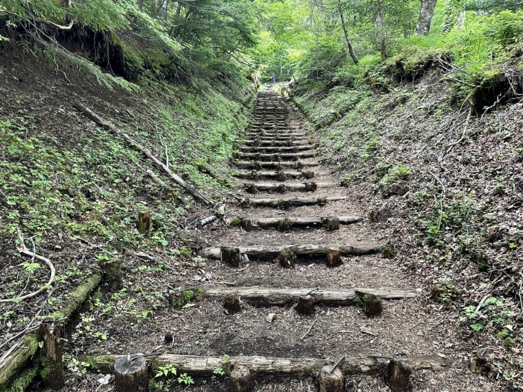 富士登山競走、五合目までの試走