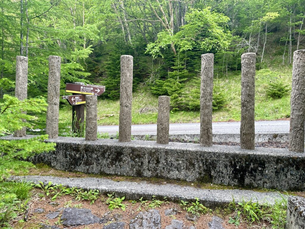 富士登山競走の五合目までもう少し