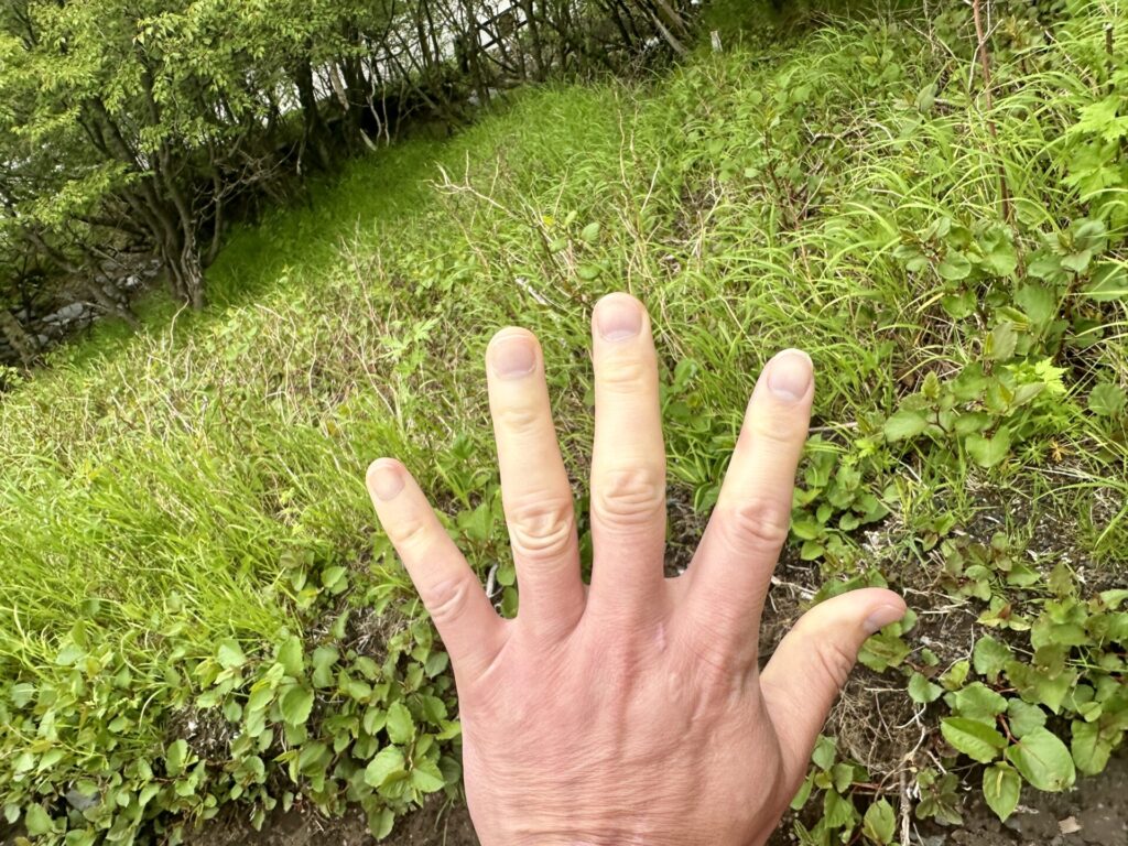 富士登山競走試走で低体温症、高山病の症状