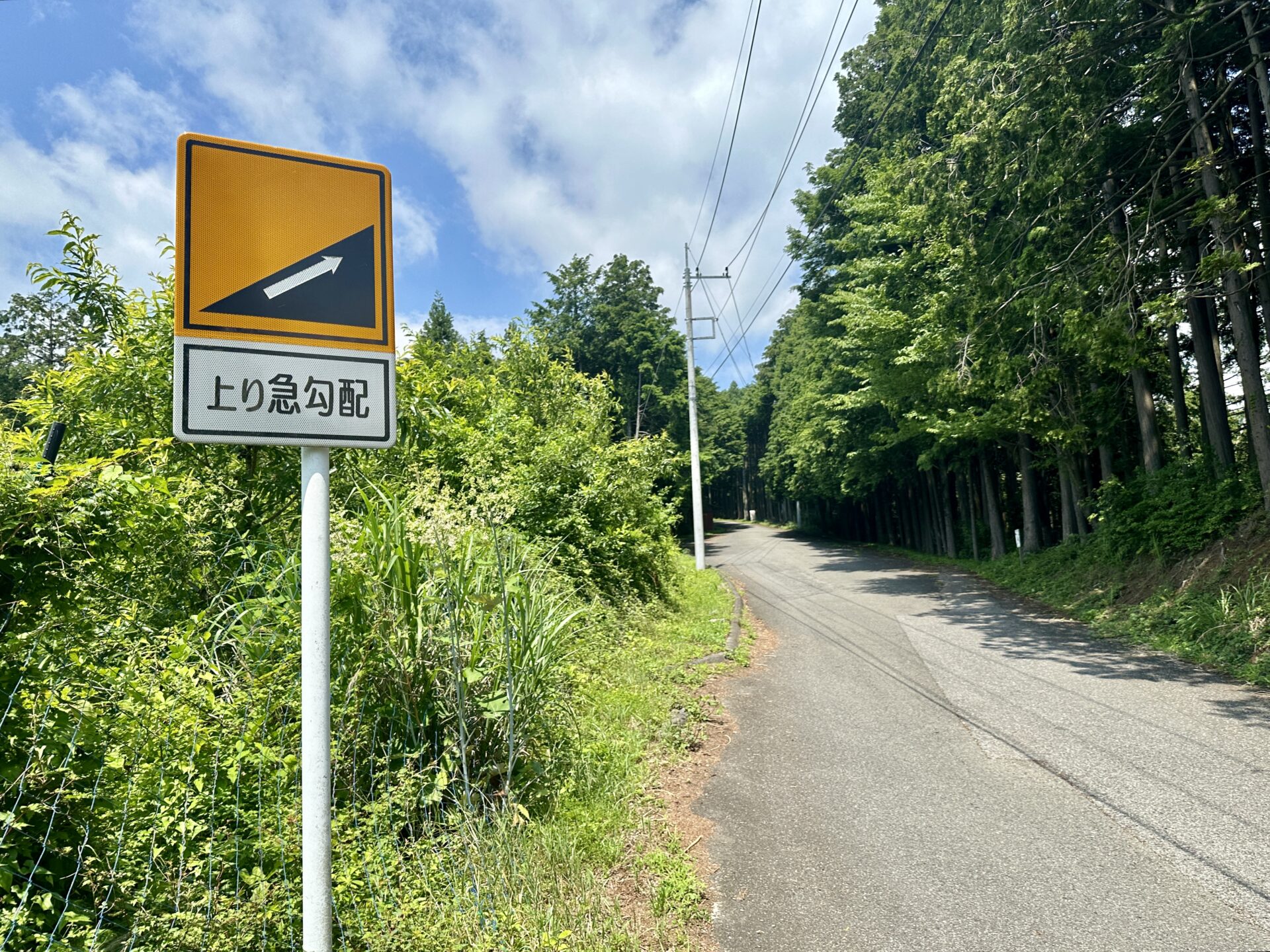 奥武蔵グリーンラインで坂道ランニング