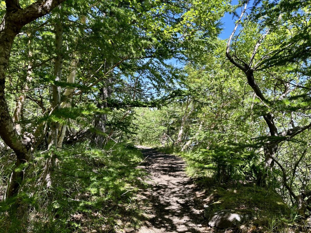 登山競走の試走、佐藤小屋から六合目へ向かう途中