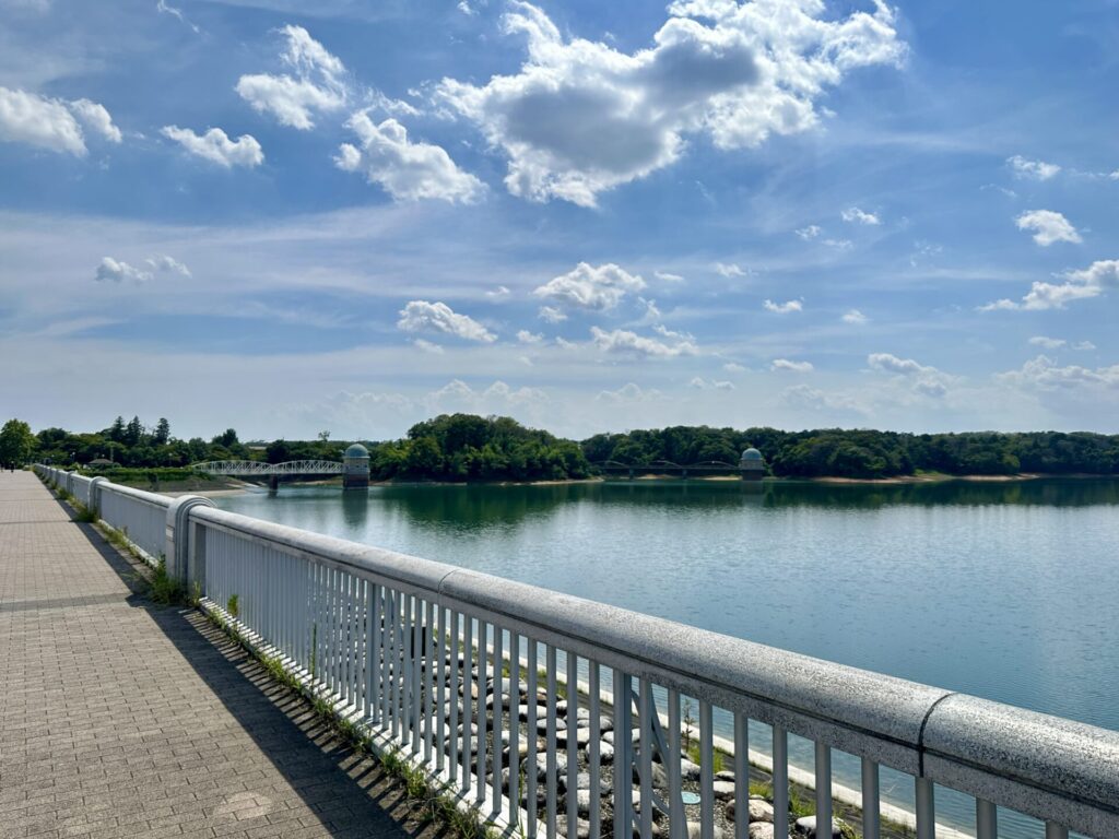 多摩湖まで夏ランニング