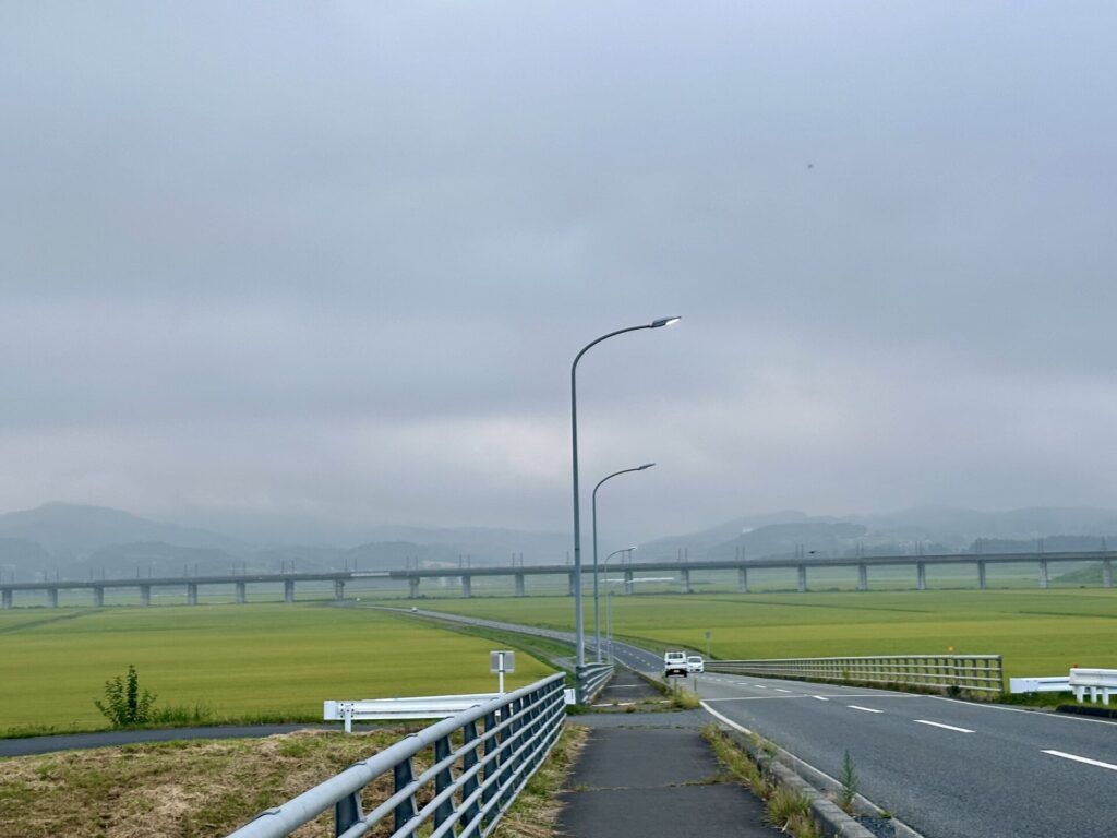 一関国際ハーフマラソンの東北本線の跨線橋からの風景