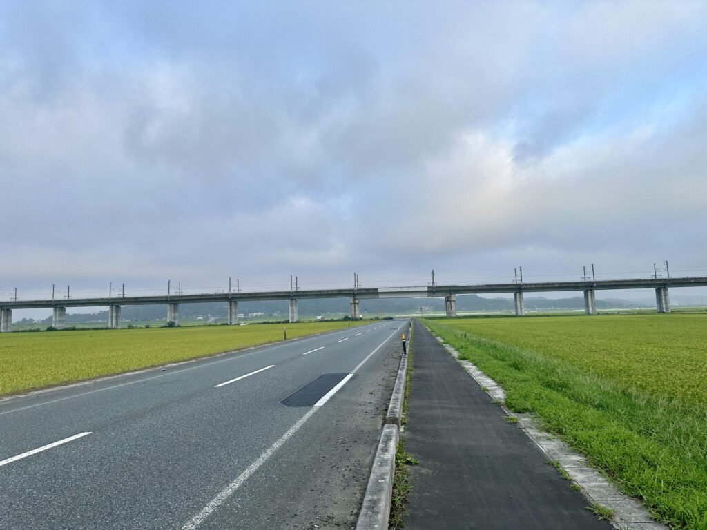 一関国際ハーフマラソンの風景