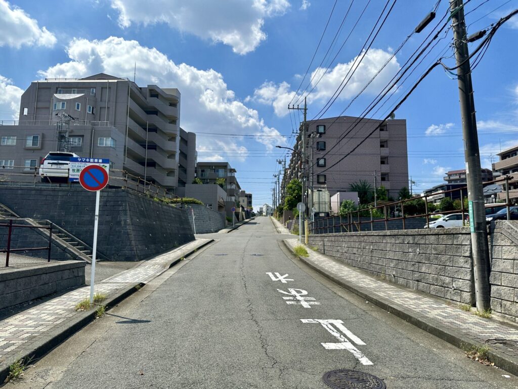 町田から相模大野まで歩いた時の名シーン