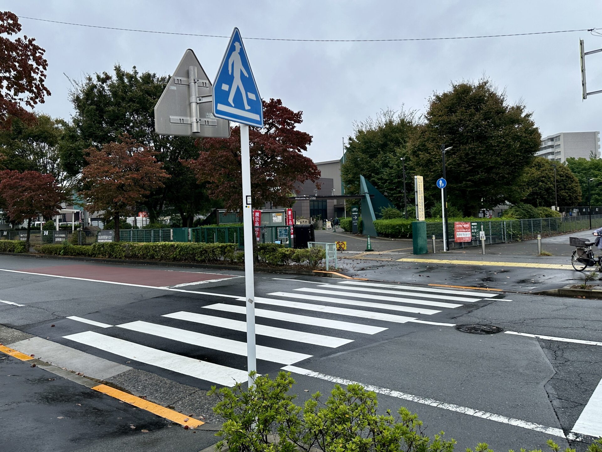 ランニング中に信号のない歩道にて停車する車両が増えた