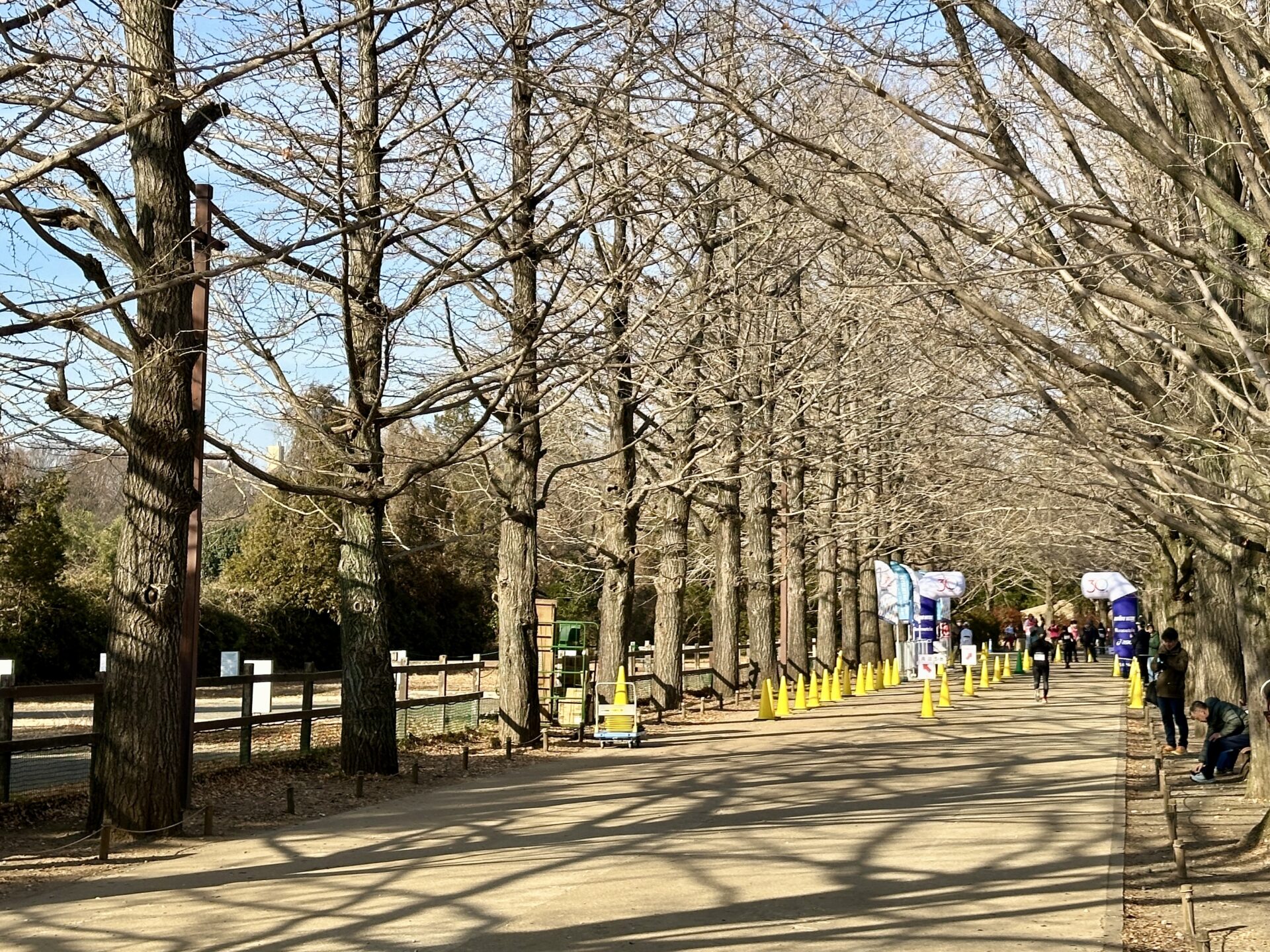 西東京30K