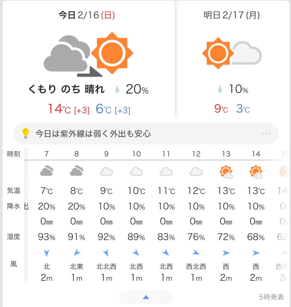 熊本城マラソンの当日の天気