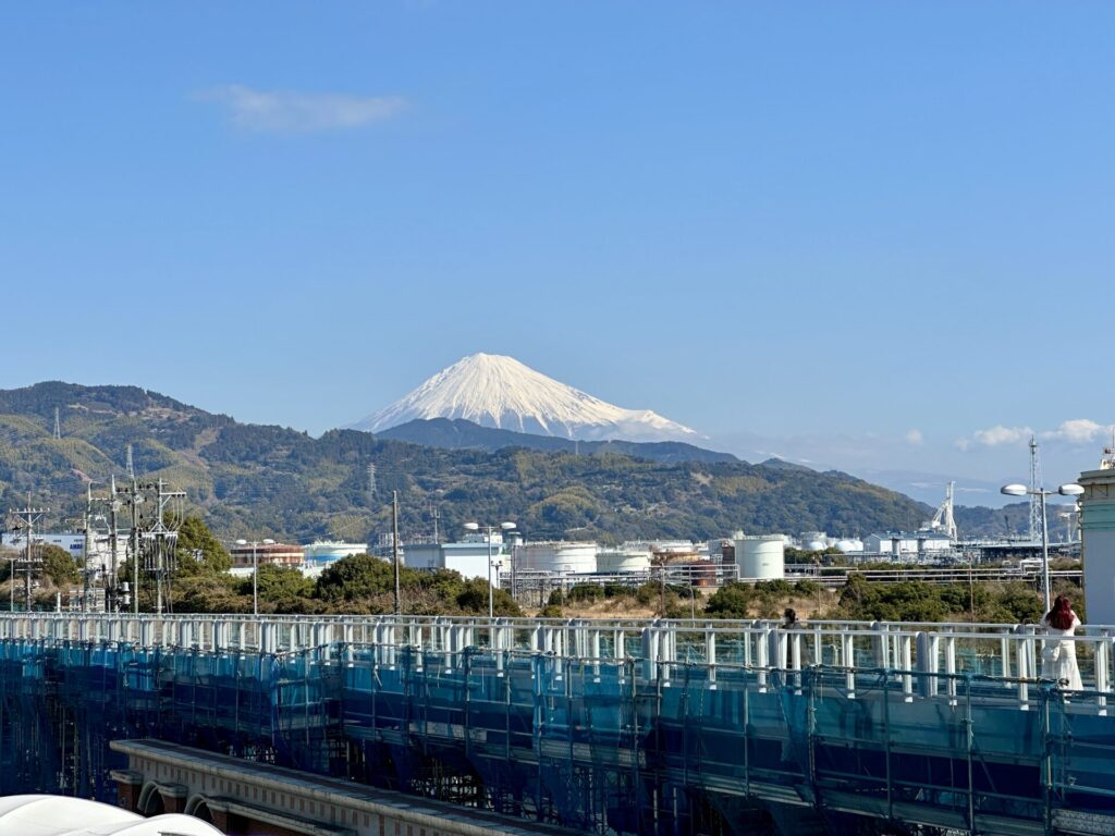 静岡マラソン翌日、清水駅から見える富士山