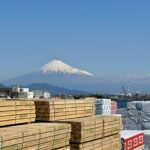 静岡マラソン翌日にレンタサイクルで富士山鑑賞