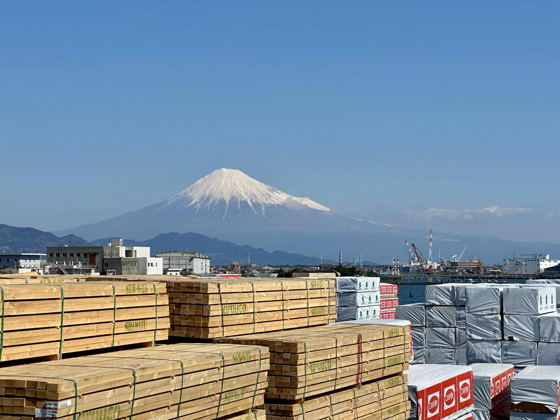 静岡マラソン翌日にレンタサイクルで富士山鑑賞