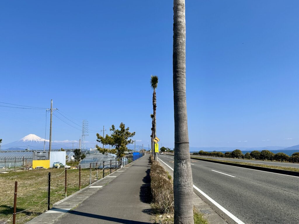 静岡マラソンで最も苦しんだ向かい風区間