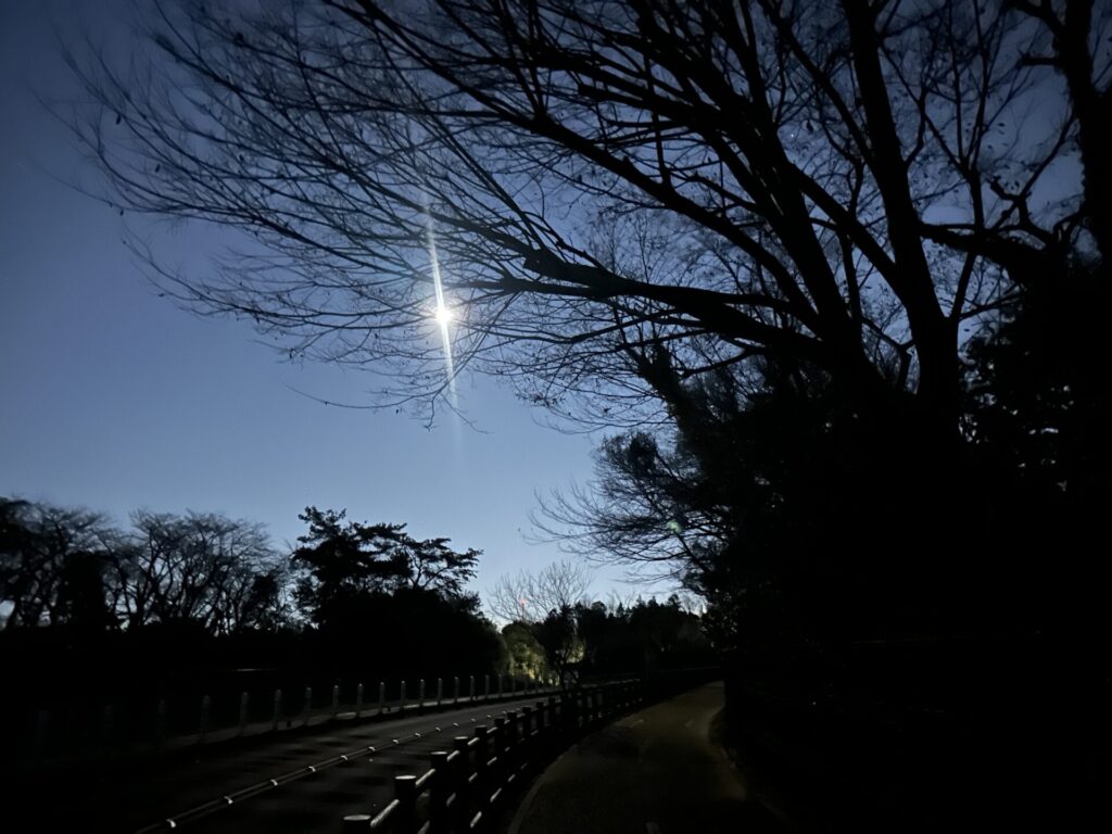 冬の3時間LSDでフルマラソン対策