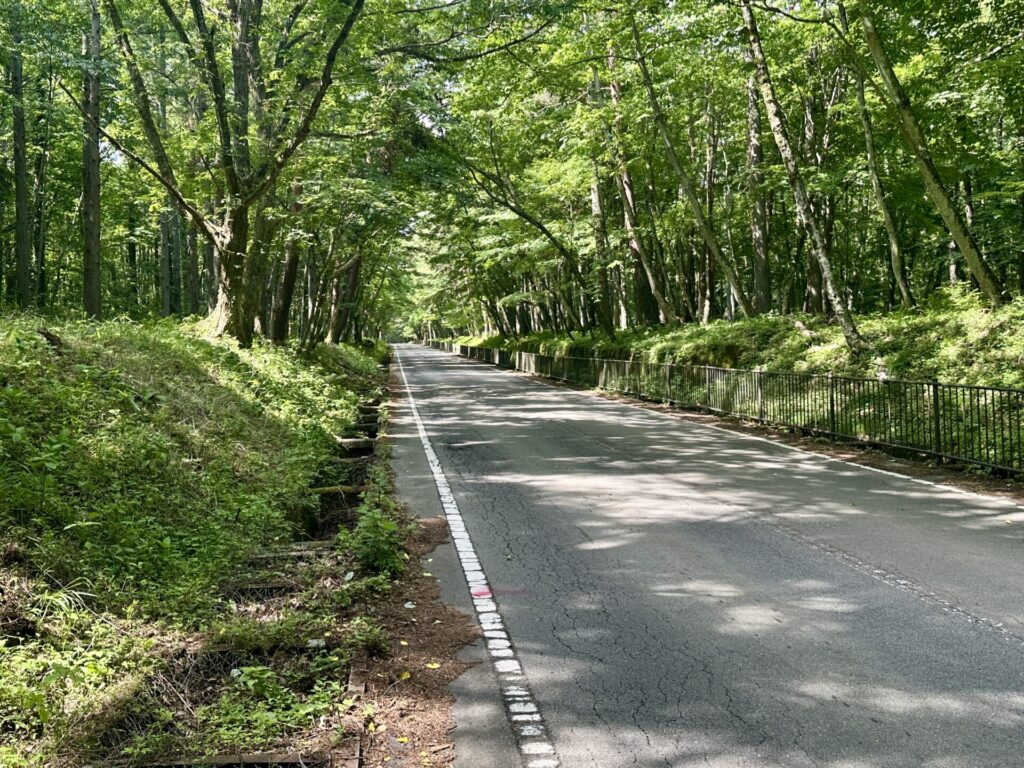 富士登山競走、序盤のロード区間
