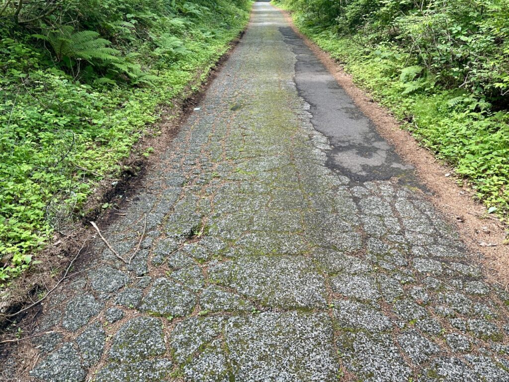 富士登山競走の中の茶屋以降馬返しまでの路面はとにかく悪い