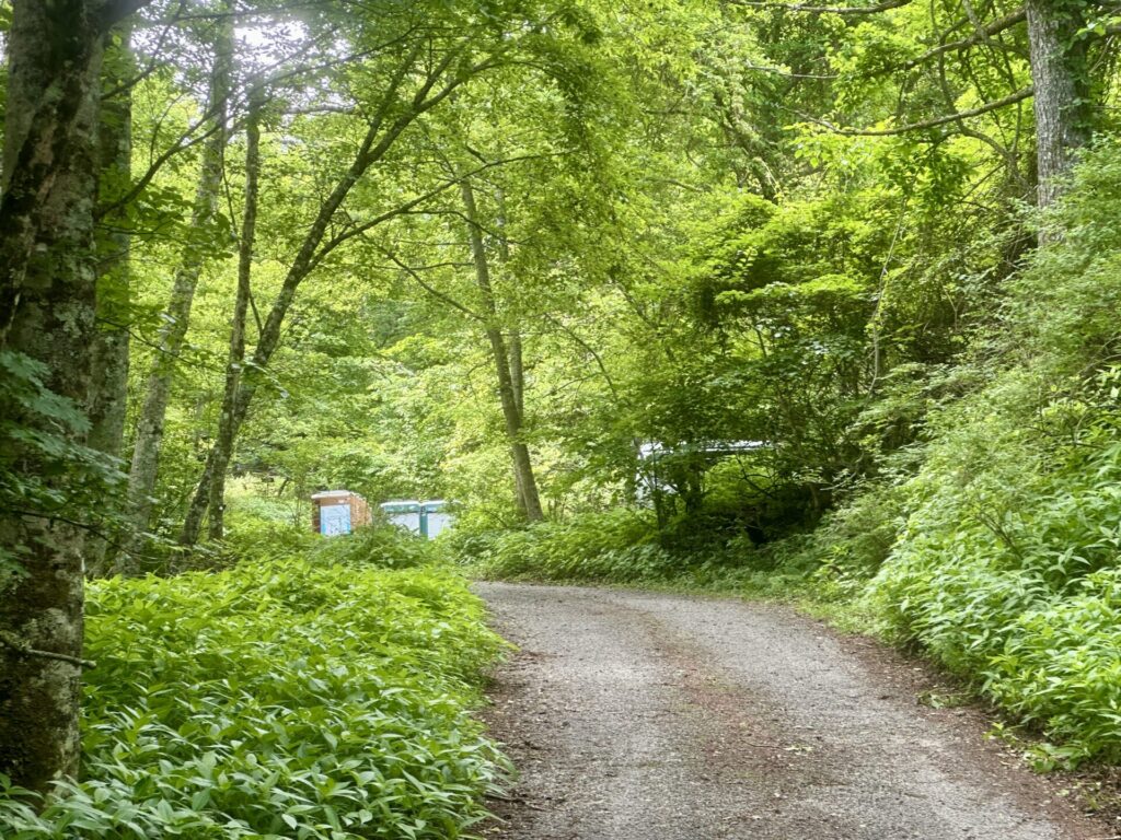富士登山競走の馬返し