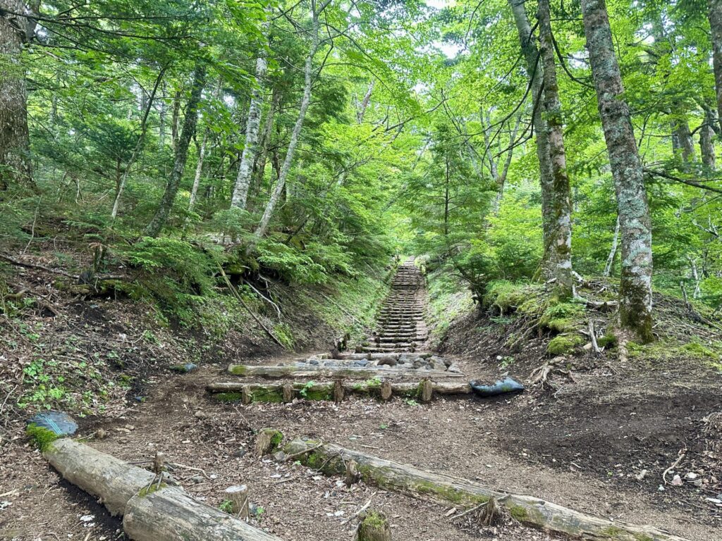 富士登山競走、馬返し以降でるべき場所