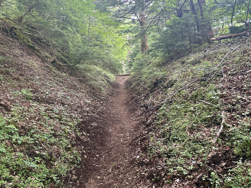 富士登山競走の試走、五合目と山頂コースで渋滞する箇所