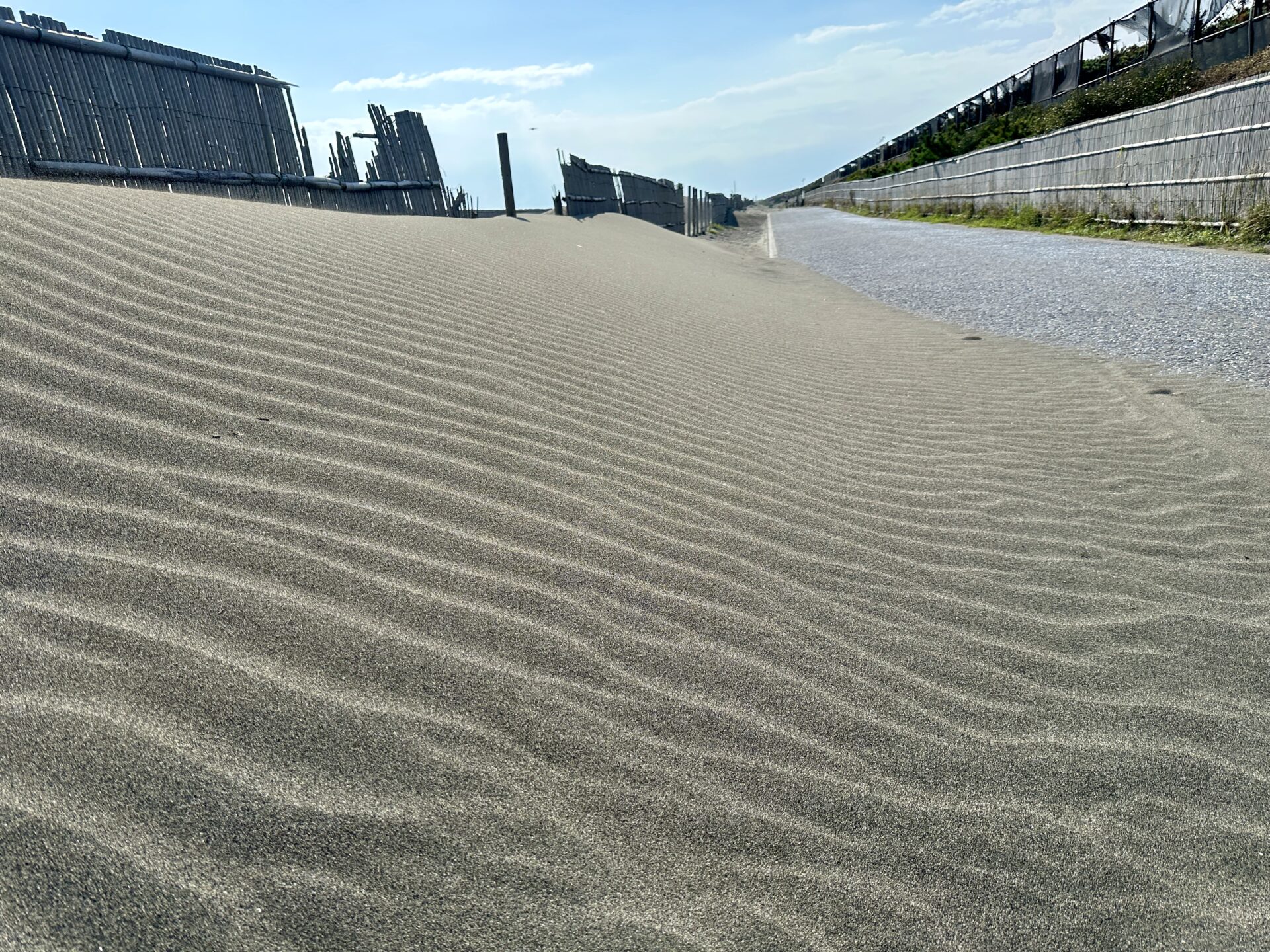 湘南サイクリングロードへランニング
