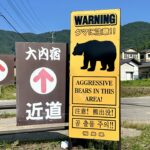 観光地で熊注意