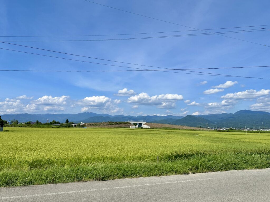 新潟で真夏のジョギング